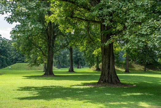Entrance through tall trees at the Great Circle at the Newark Earthworks built by prehistoric indigenous people in Ohio. Break in the circle opens to the interior. Green grass, sunny outdoors with no people and copy space.