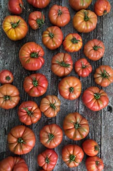 Vegetables, Tomatoes,  on desk in garden