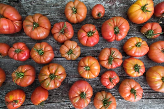 Vegetables, Tomatoes,  on desk in garden