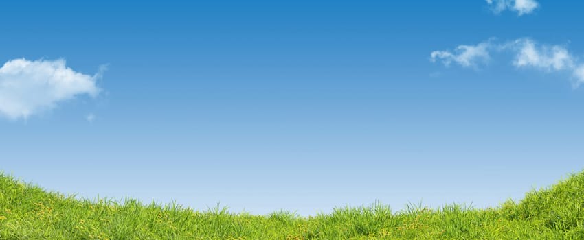 Green summer meadow with a beautiful blue sky and clouds, 3d rendering