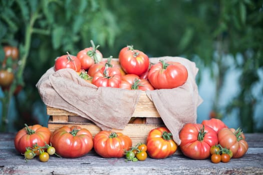 Vegetables, tomatoes on wooden desk