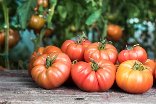 Vegetables, tomatoes on wooden desk