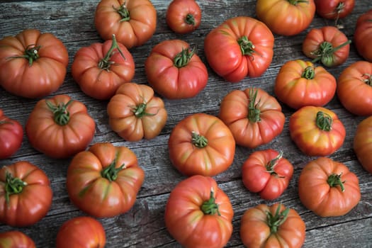 Vegetables, Tomatoes,  on desk in garden
