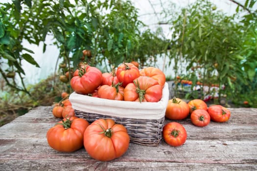 Vegetables, tomatoes on wooden desk