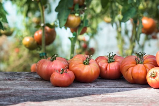 Vegetables, tomatoes on wooden desk