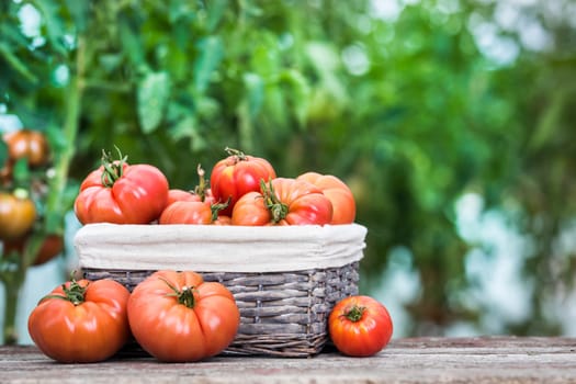 Vegetables, tomatoes on wooden desk