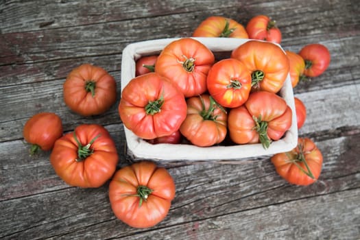 Red Tomatoes in a Greenhouse, organic food