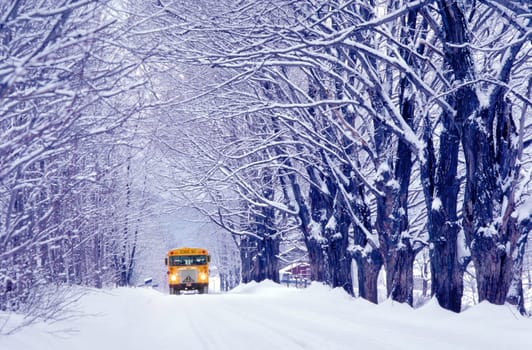 Going to school on a cold winter day in Jericho, Vermont.