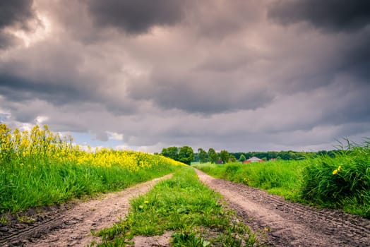 Nature path with dark clouds in the air