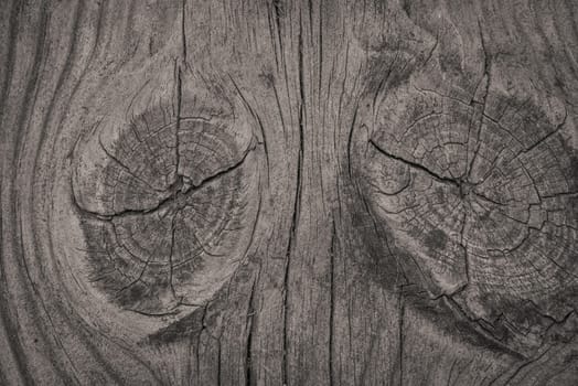Close-up of a rough wooden background with textures
