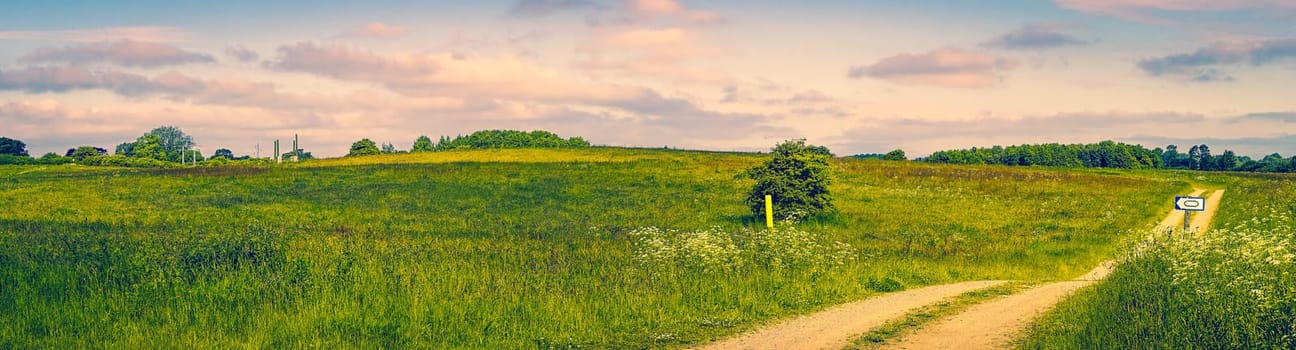 Dirt track on a countryside landscape with green fields