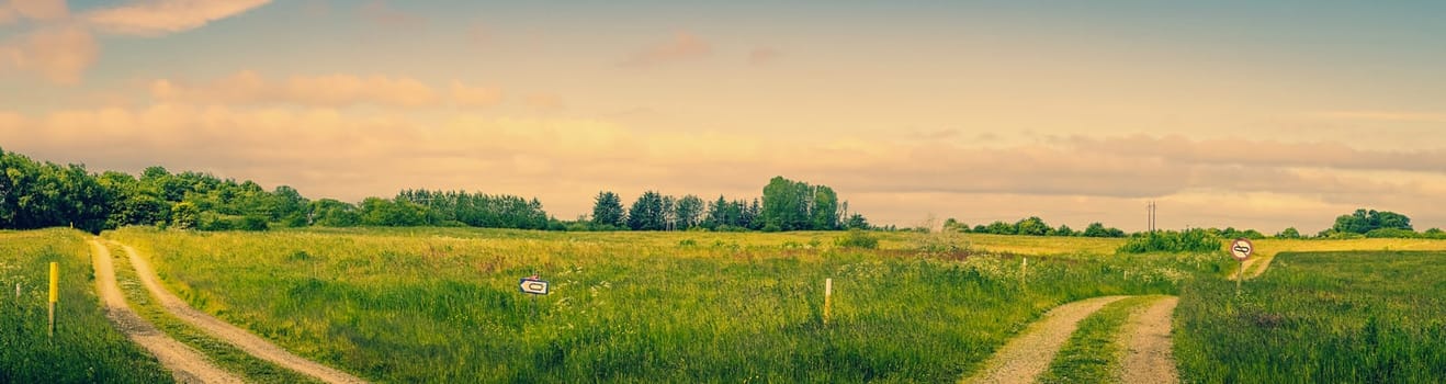 Two roads on a countryside landscape in the summertime