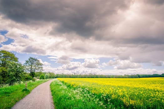 Countryside landscape with a path and dark clouds