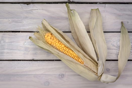 Fresh raw corn on wooden planks
