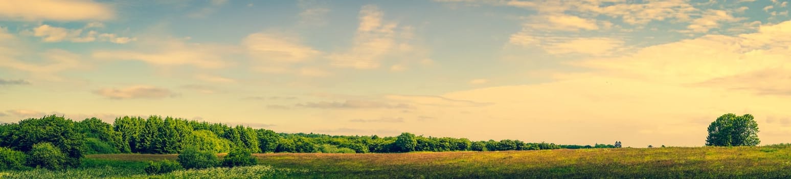 Panorama landscape of a prairie with green trees