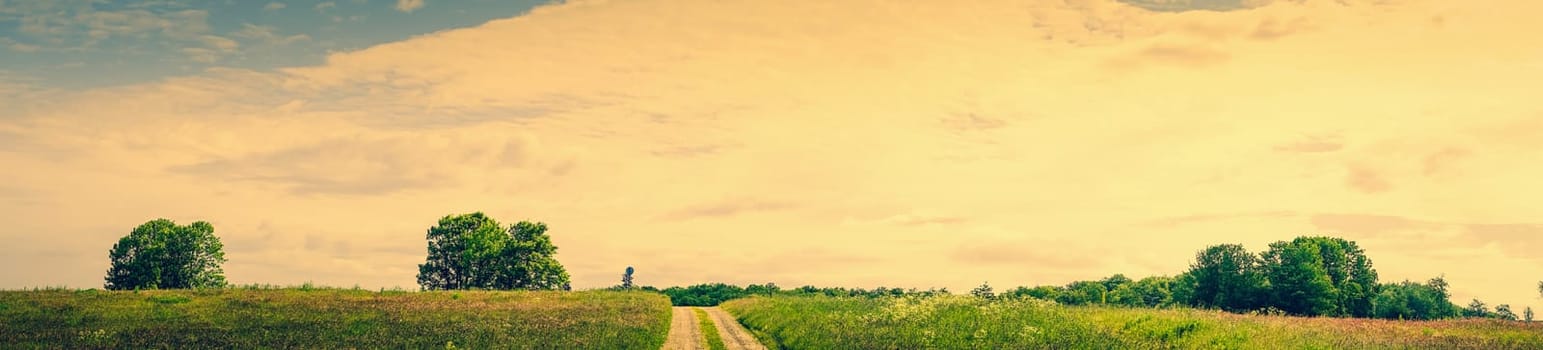 Road going through a beautiful nature landscape