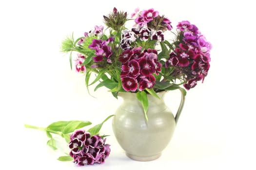a Bouquet bearded cloves against a bright background