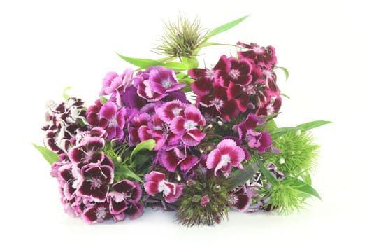 a Bouquet bearded cloves against a bright background