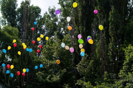 balloons in the sky against trees, the last call school