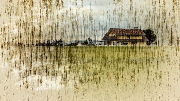 The beauty of the farmland in Taitung Taiwan for adv or others purpose use