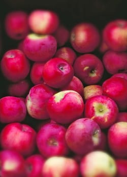 Red Applesw at a farmer's market in Vermont.