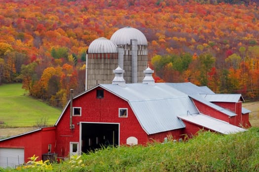Barn in the fall in Fairfield, VT.