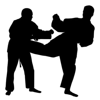 Silhouettes of two karate fighters on isolated white background. EPS file available.
