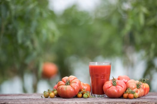 Fresh tomato juice, on a wooden background