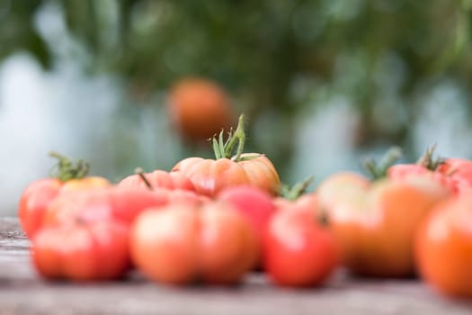 Vegetables, tomatoes on wooden desk