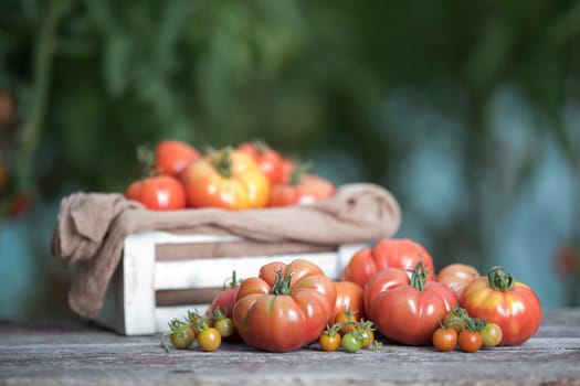 Vegetables, tomatoes on wooden desk