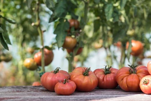 Vegetables, tomatoes on wooden desk