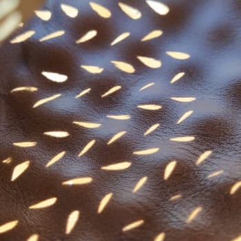 Sunbeams reflecting the sun through a stencil. Beige genuine leather texture on the sole of summer sandals. Ergonomic indentation in the insole to prevent flat feet.