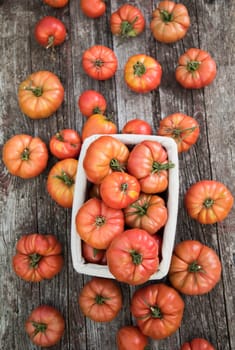 Red Tomatoes in a Greenhouse, organic food
