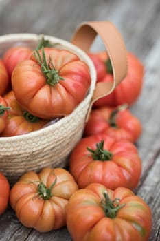 Vegetables, Tomatoes,  on desk in garden