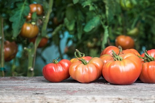Vegetables, tomatoes on wooden desk