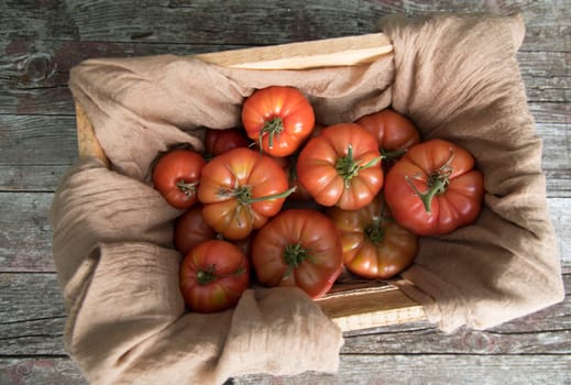 Tomatoes vegetable garden, organic products