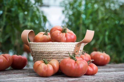 Organic food, Free red vegetables of tomato