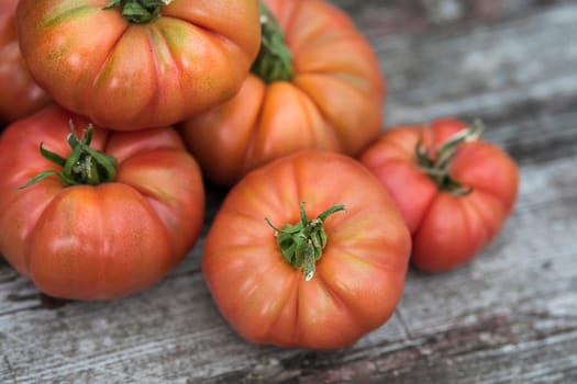 Vegetables, Tomatoes,  on desk in garden