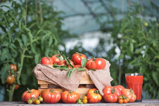 Fresh red tomato juice, on a wooden background