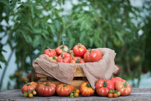 Vegetables, tomatoes on wooden desk