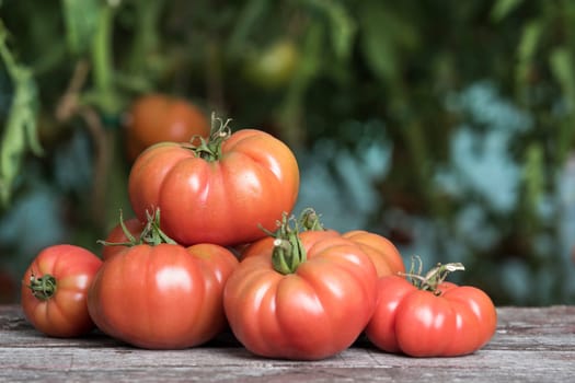 Vegetables, tomatoes on wooden desk