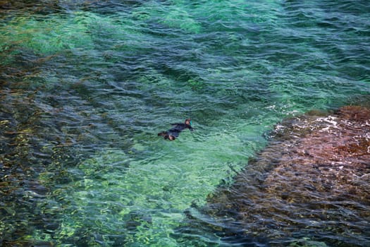 diver swims in emerald transparent sea water top view