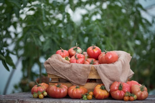 Vegetables, tomatoes on wooden desk