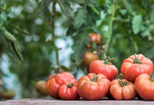 Vegetables, tomatoes on wooden desk
