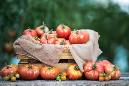 Vegetables, tomatoes on wooden desk