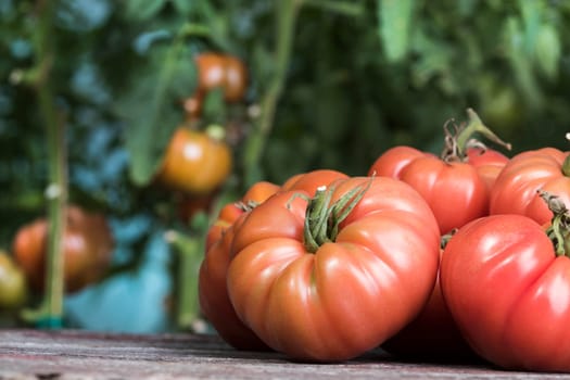 Vegetables, tomatoes on wooden desk