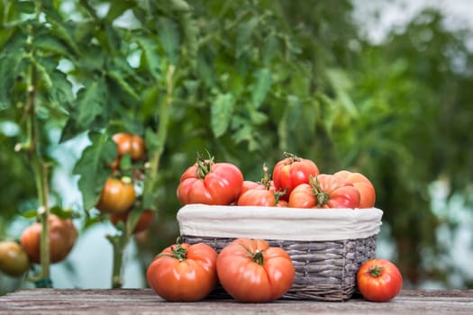 Vegetables, tomatoes on wooden desk
