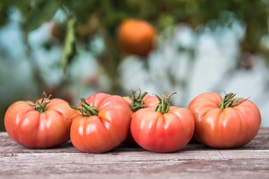 Vegetables, tomatoes on wooden desk