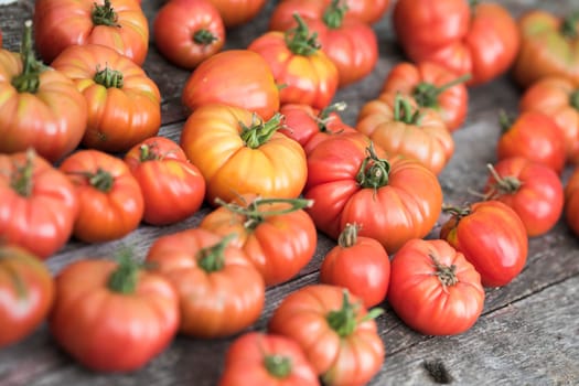 Vegetables, Tomatoes,  on desk in garden