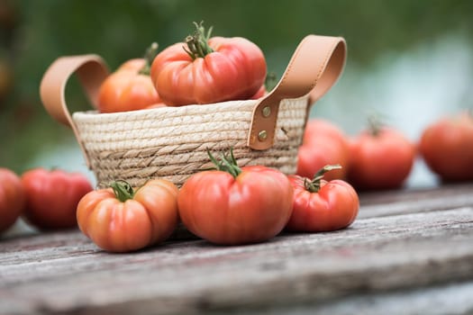 Organic food, Free red vegetables of tomato